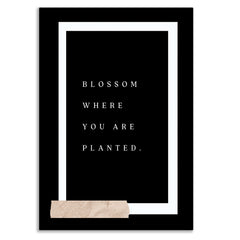 Inspirational Canvas Wall Art Blossom Where You Are Planted Minimalist Black and White Canvas Paintings