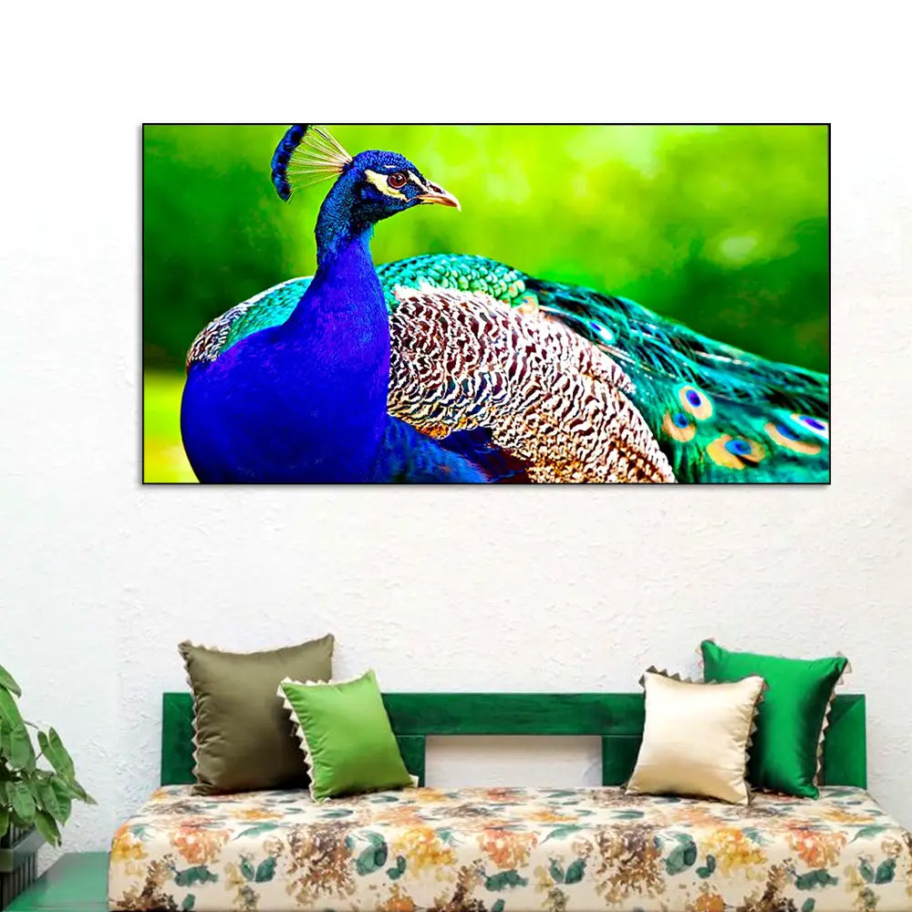 Beautiful Peacock Floating Framed Canvas Wall Painting