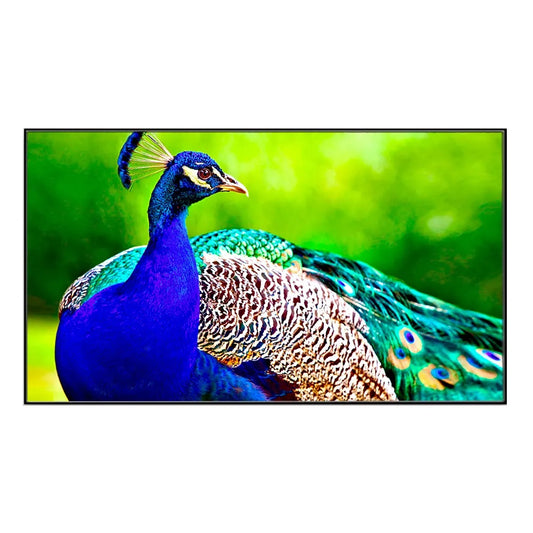 Beautiful Peacock Floating Framed Canvas Wall Painting