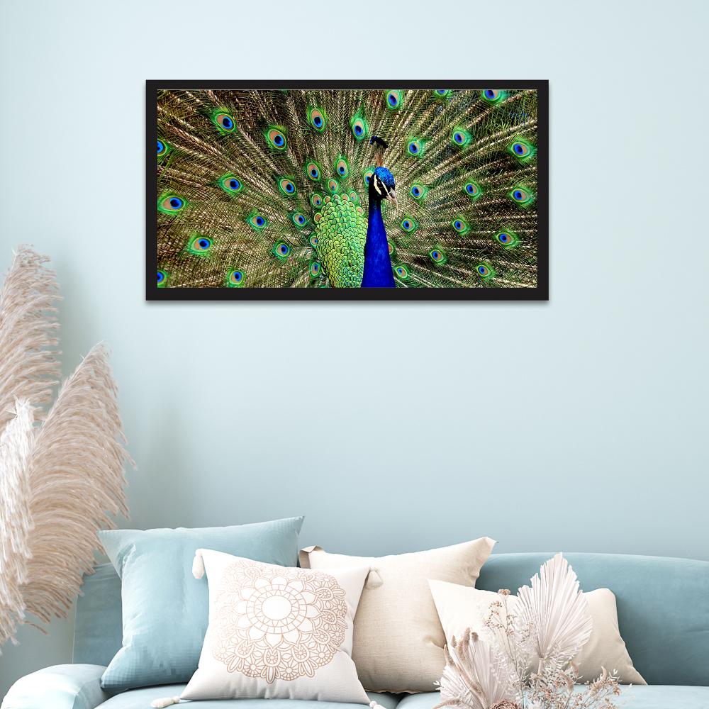 Dancing Peacock Vastu Floating Framed Ready to Hang Canvas Wall Painting