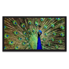 Dancing Peacock Vastu Floating Framed Ready to Hang Canvas Wall Painting