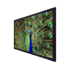 Dancing Peacock Vastu Floating Framed Ready to Hang Canvas Wall Painting