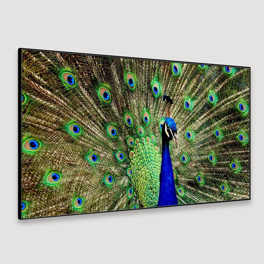 Dancing Peacock Vastu Floating Framed Ready to Hang Canvas Wall Painting