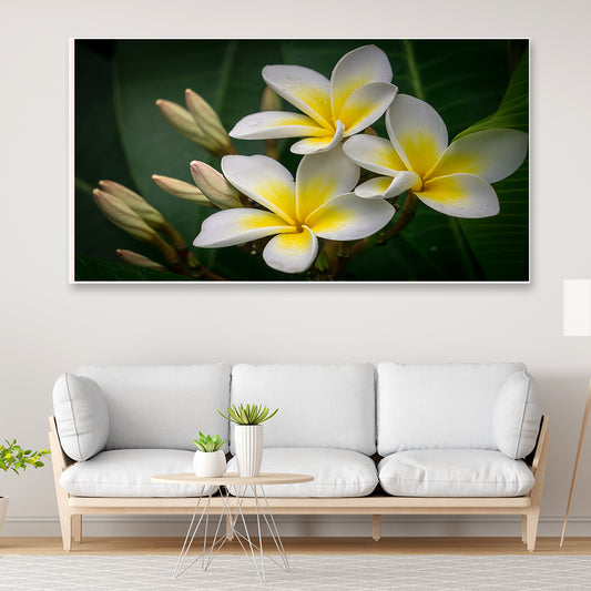 Yellow and White Plumeria Flower Floating Frame Canvas Wall Painting