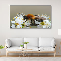 Beautiful Honey Bee on White Flowers Canvas Painting